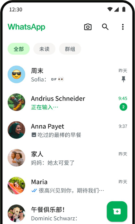 WhatsApp 介面預覽