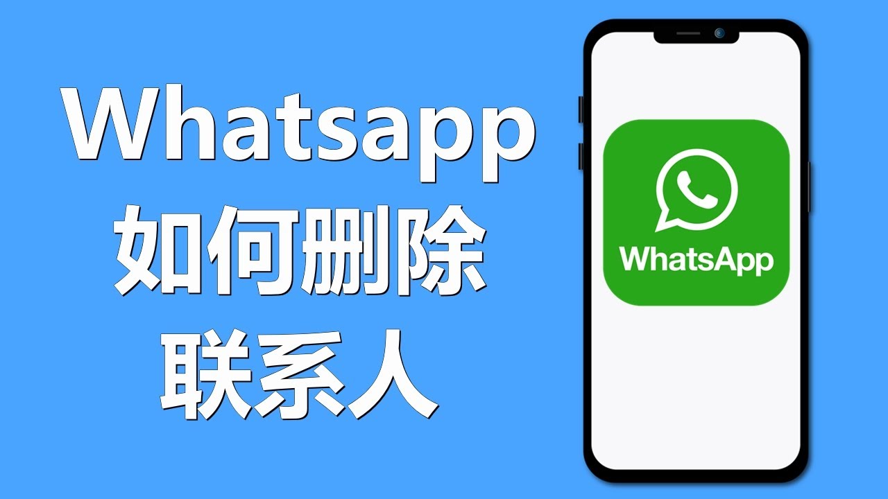 WhatsApp 刪除聯絡人、關閉同步與避免自動出現的完整教學